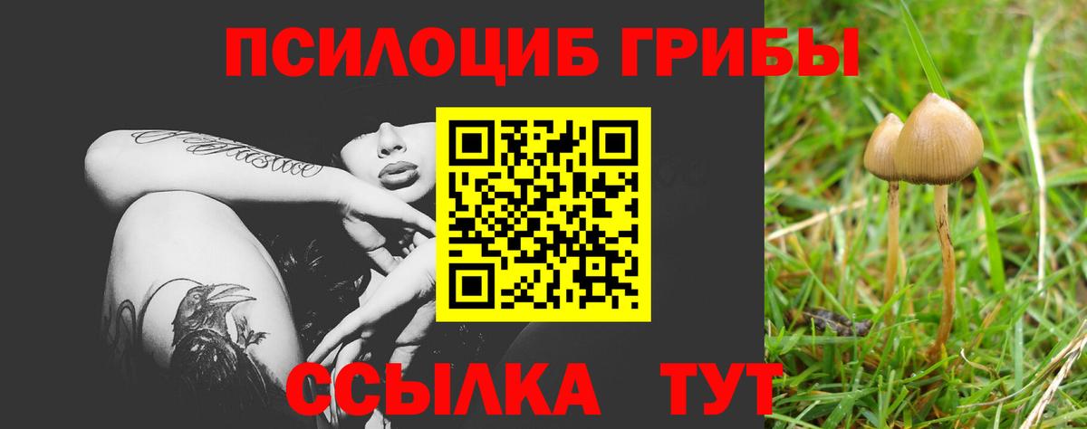 Псилоцибиновые грибы MAGIC MUSHROOMS  Вход с VPN  закладки  Тамбов 